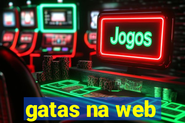 gatas na web